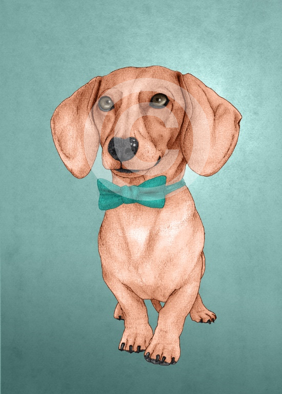 dachshund-the-wiener-dog-prints